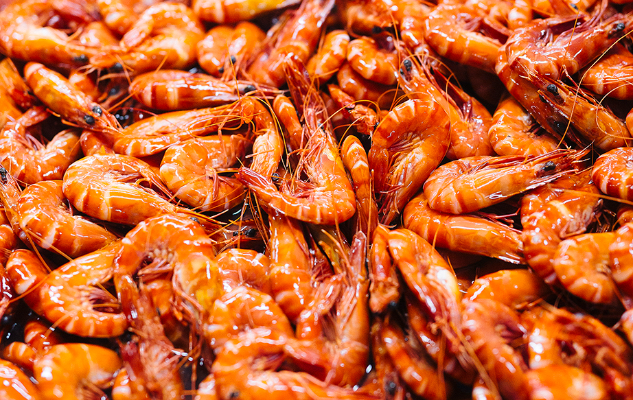 Horizontal Prawns