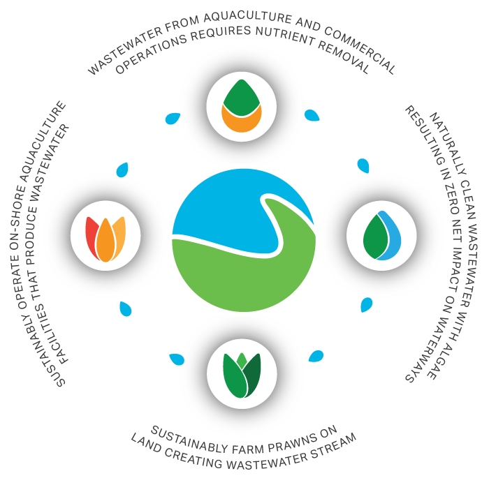 Business Process Wheel Icon